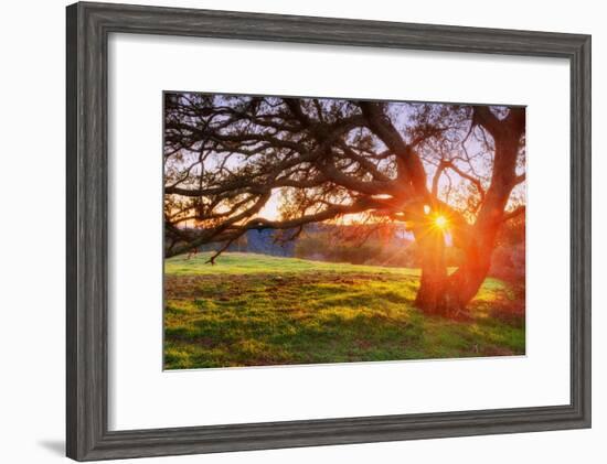 Colorful Diablo Sunscape-Vincent James-Framed Photographic Print