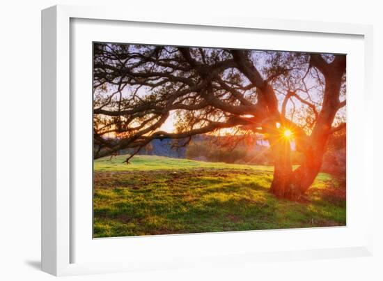 Colorful Diablo Sunscape-Vincent James-Framed Photographic Print