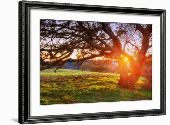 Colorful Diablo Sunscape-Vincent James-Framed Photographic Print