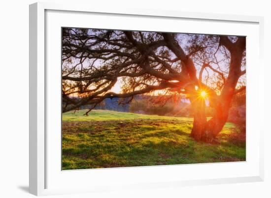 Colorful Diablo Sunscape-Vincent James-Framed Photographic Print