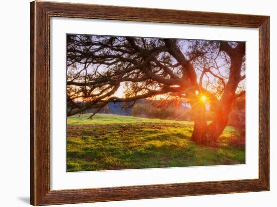 Colorful Diablo Sunscape-Vincent James-Framed Photographic Print