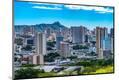 Premium Photographic Print