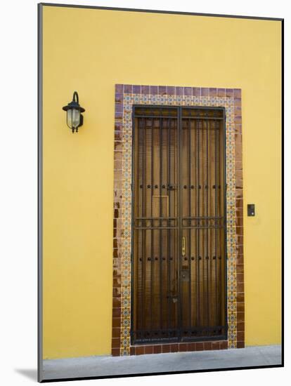 Colorful Doors, Merida, Yucatan, Mexico-Julie Eggers-Mounted Photographic Print