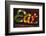 Colorful 'Eat' Antique Sign, New York City, New York, USA-Julien McRoberts-Framed Premium Photographic Print