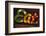 Colorful 'Eat' Antique Sign, New York City, New York, USA-Julien McRoberts-Framed Premium Photographic Print