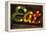 Colorful 'Eat' Antique Sign, New York City, New York, USA-Julien McRoberts-Framed Premier Image Canvas