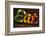 Colorful 'Eat' Antique Sign, New York City, New York, USA-Julien McRoberts-Framed Photographic Print