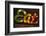 Colorful 'Eat' Antique Sign, New York City, New York, USA-Julien McRoberts-Framed Photographic Print