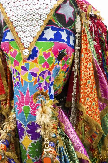 'Colorful Elephants at the Jaipur Elephant Festival, Jaipur, Rajasthan ...