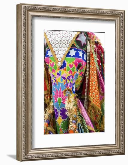 Colorful Elephants at the Jaipur Elephant Festival, Jaipur, Rajasthan, India, Asia-Jordan Banks-Framed Photographic Print