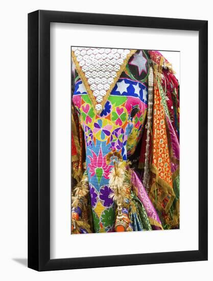 Colorful Elephants at the Jaipur Elephant Festival, Jaipur, Rajasthan, India, Asia-Jordan Banks-Framed Photographic Print