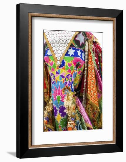 Colorful Elephants at the Jaipur Elephant Festival, Jaipur, Rajasthan, India, Asia-Jordan Banks-Framed Photographic Print