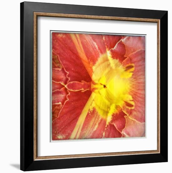 Colorful encounter I-Jean-François Dupuis-Framed Art Print