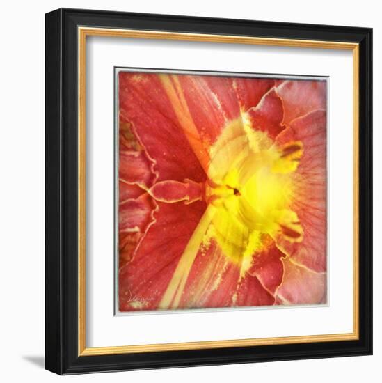 Colorful encounter I-Jean-François Dupuis-Framed Art Print