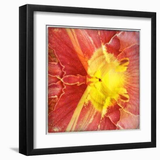 Colorful encounter I-Jean-François Dupuis-Framed Art Print