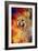 Colorful Expressions Cheetah 2-Jai Johnson-Framed Giclee Print