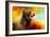 Colorful Expressions Grizzly Bear 2-Jai Johnson-Framed Giclee Print