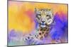 Colorful Expressions Snow Leopard-Jai Johnson-Mounted Giclee Print