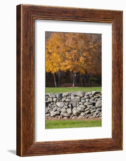 Colorful fall foliage, New England, USA-Jim Engelbrecht-Framed Photographic Print