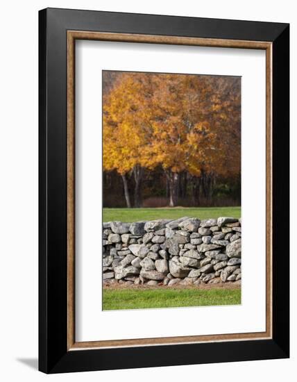 Colorful fall foliage, New England, USA-Jim Engelbrecht-Framed Photographic Print