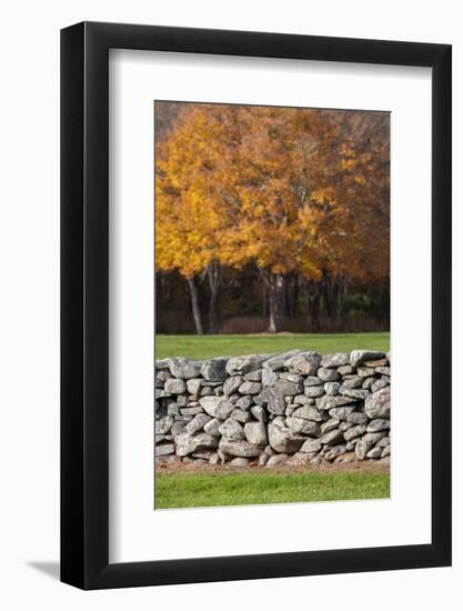 Colorful fall foliage, New England, USA-Jim Engelbrecht-Framed Photographic Print