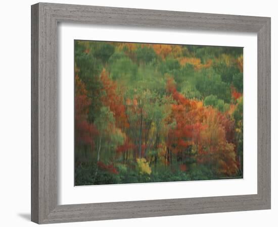 Colorful Fall Reflections in a Pond, Maine, USA-Jerry & Marcy Monkman-Framed Photographic Print