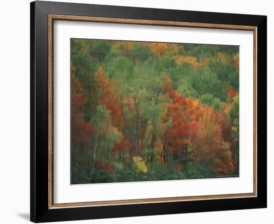 Colorful Fall Reflections in a Pond, Maine, USA-Jerry & Marcy Monkman-Framed Photographic Print