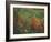 Colorful Fall Reflections in a Pond, Maine, USA-Jerry & Marcy Monkman-Framed Photographic Print