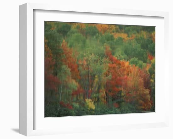 Colorful Fall Reflections in a Pond, Maine, USA-Jerry & Marcy Monkman-Framed Photographic Print