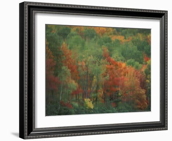 Colorful Fall Reflections in a Pond, Maine, USA-Jerry & Marcy Monkman-Framed Photographic Print