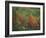 Colorful Fall Reflections in a Pond, Maine, USA-Jerry & Marcy Monkman-Framed Photographic Print