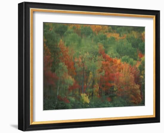 Colorful Fall Reflections in a Pond, Maine, USA-Jerry & Marcy Monkman-Framed Photographic Print