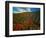 Colorful Field of Flowers-Gary Conner-Framed Photographic Print