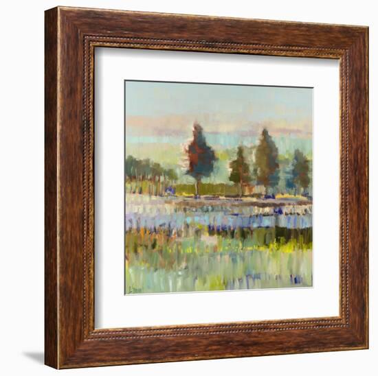 Colorful Fields-Libby Smart-Framed Art Print