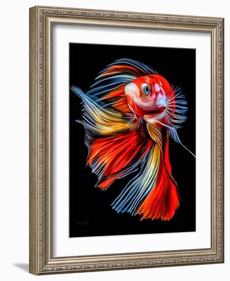 Colorful Fish-Lord Amihere-Framed Giclee Print