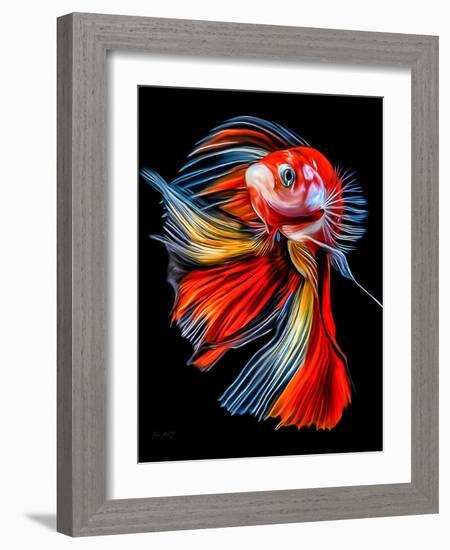 Colorful Fish-Lord Amihere-Framed Giclee Print