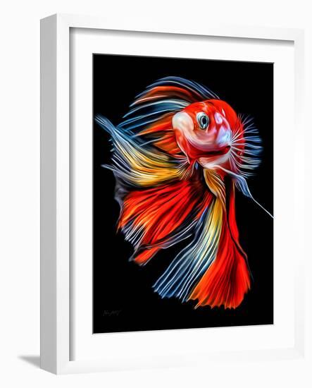 Colorful Fish-Lord Amihere-Framed Giclee Print