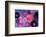Colorful Floral Design-Alaya Gadeh-Framed Photographic Print