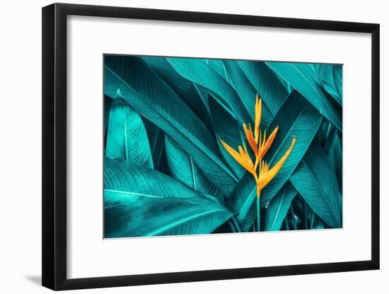 Colorful Flower on Dark Tropical Foliage Nature Background-null-Framed Premium Photographic Print