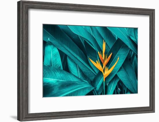 Colorful Flower on Dark Tropical Foliage Nature Background-null-Framed Premium Photographic Print