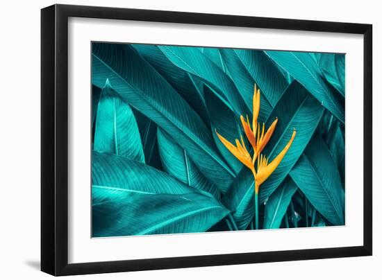 Colorful Flower on Dark Tropical Foliage Nature Background-null-Framed Premium Photographic Print