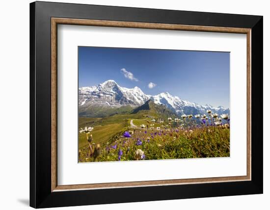 Colorful flowers framing Mount Eiger Mannlichen Grindelwald Bernese Oberland Canton of Berne Switze-ClickAlps-Framed Photographic Print