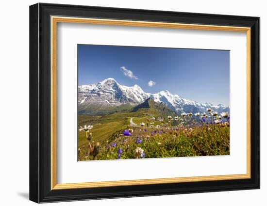 Colorful flowers framing Mount Eiger Mannlichen Grindelwald Bernese Oberland Canton of Berne Switze-ClickAlps-Framed Photographic Print