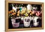Colorful Flowers in A Flower Shop on A Market-Curioso Travel Photography-Framed Premier Image Canvas