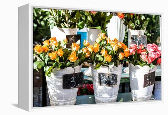 Colorful Flowers in A Flower Shop on A Market-Curioso Travel Photography-Framed Premier Image Canvas