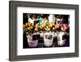 Colorful Flowers in A Flower Shop on A Market-Curioso Travel Photography-Framed Photographic Print