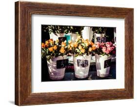 Colorful Flowers in A Flower Shop on A Market-Curioso Travel Photography-Framed Photographic Print
