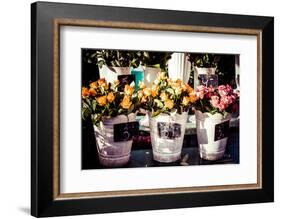 Colorful Flowers in A Flower Shop on A Market-Curioso Travel Photography-Framed Photographic Print