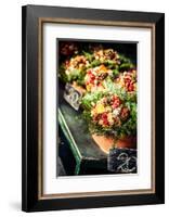 Colorful Flowers in A Flower Shop on A Market-Curioso Travel Photography-Framed Photographic Print
