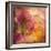 Colorful Flowers-Robert Cattan-Framed Photographic Print